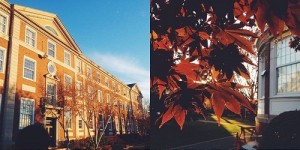 Trường Đại học Adelphi là trường lâu đời, có khu học xá đẹp, gần trung tâm.
